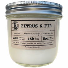 Load image into Gallery viewer, citrus &amp; fir
